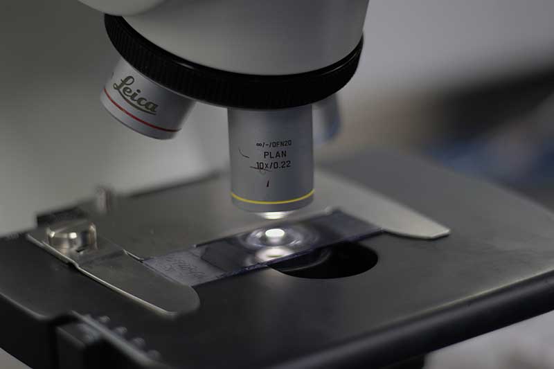 Laboratorio Clínico